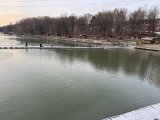 IMG_4938.jpeg