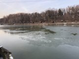 IMG_4941.jpeg
