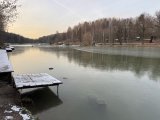 IMG_4944.jpeg