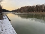 IMG_4943.jpeg