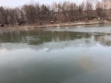 IMG_4942.jpeg