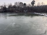 IMG_4951.jpeg