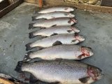 IMG_4924.jpeg