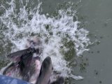 IMG_4973.jpeg
