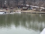 IMG_5007.jpeg