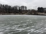 IMG_4999.jpeg