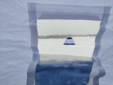 IMG_20210307_085238.jpg