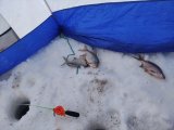 IMG_20230218_102928.jpg