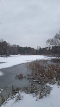IMG-20241207-WA0004.jpeg