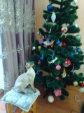 IMG_20240114_153924.jpg