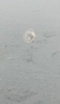 IMG_7804.jpeg