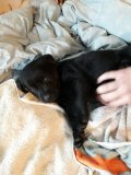 20180425_133008.jpg