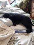 IMG-20181022-WA0013.jpg