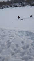 20241214_120135.jpg