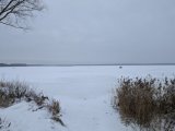 PXL_20241214_081028034.jpg
