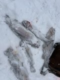 IMG_5187.jpeg