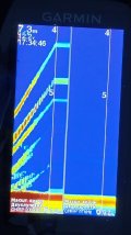 IMG_20241216_232642.jpg