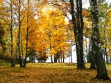 IMG_20241014_112035.jpg