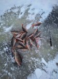 photo-output_5.jpeg