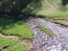 DSC_0134.jpg
