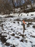 IMG_4497.jpeg