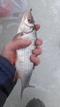 IMG-20241221-WA0004.jpeg