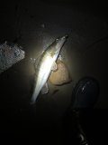 IMG_5403.jpeg