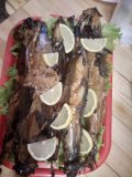 IMG-20181118-WA0021.jpg