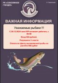 IMG_3376.jpeg