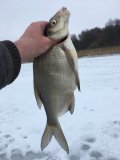 IMG_5330.jpeg