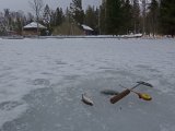 DSC04214.JPG