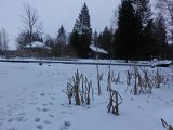 DSC04215.JPG