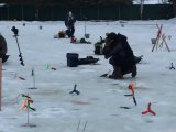 38F4DCD1-BEE6-4027-A5B2-2CA25FDEC470.jpeg