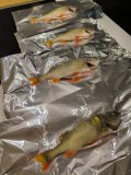 IMG_20241229_161600.jpg