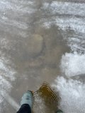 IMG_3442.jpeg