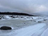 IMG_3437.jpeg
