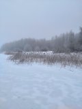 IMG_20241229_084501.jpg