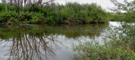 IMG_20240903_121333_354.jpg
