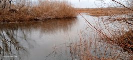 IMG_20241119_073405_669.jpg