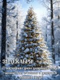 IMG-20241231-WA0016.jpg