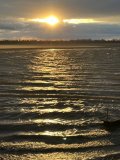 IMG_3134.jpeg