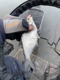 IMG_9007.jpeg