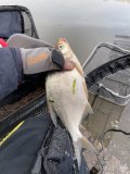 IMG_9008.jpeg