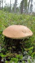 DSC06402.JPG