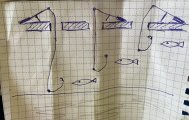 IMG_7448.jpeg