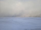 IMG_20250106_142435.jpg