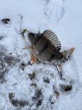 IMG_5473.jpeg