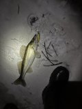 IMG_5471.jpeg