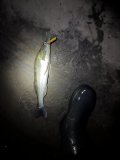 IMG_5468.jpeg