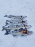 IMG_20250107_115957.jpg